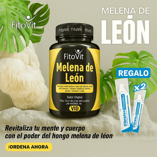 ⚡ Melena de león – Más concentración, más memoria | Envío gratis