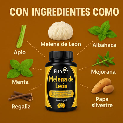 ⚡ Melena de león – Más concentración, más memoria | Envío gratis